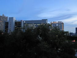Emerald Garden (D1), Condominium #80133392
